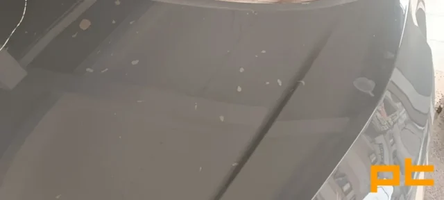 nissan-celik-rotus-01