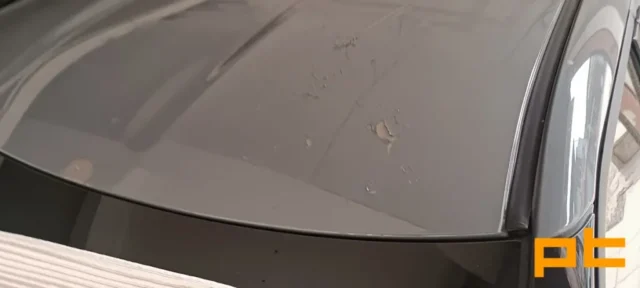 nissan-celik-rotus-02