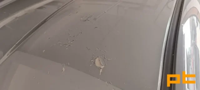 nissan-celik-rotus-04