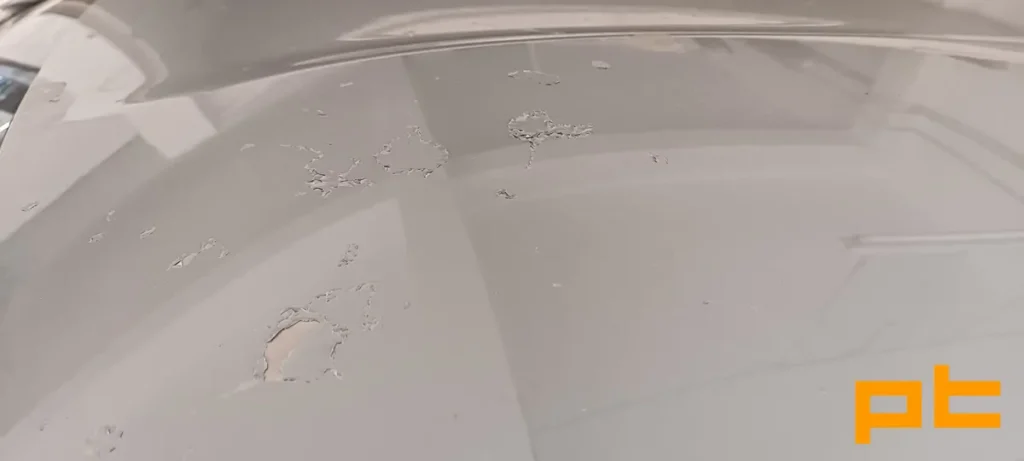 nissan-celik-rotus-06